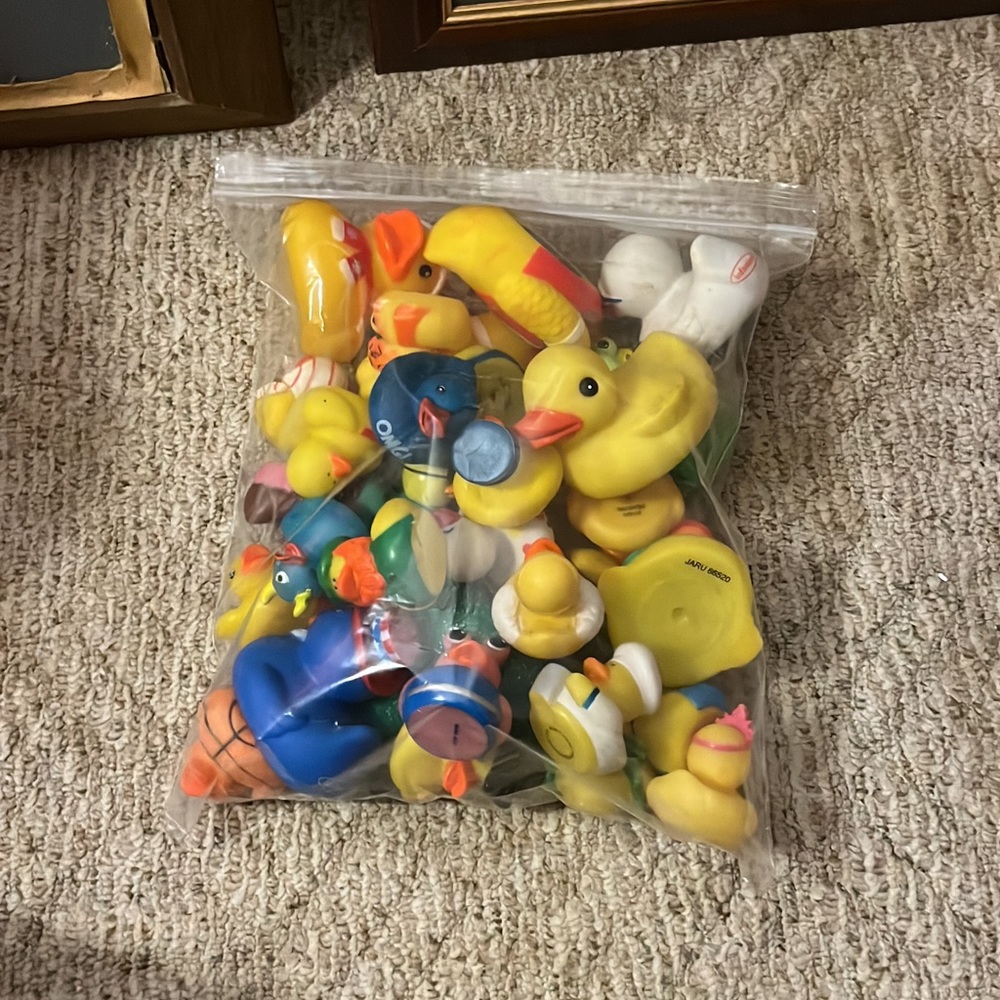 Bag of ducks